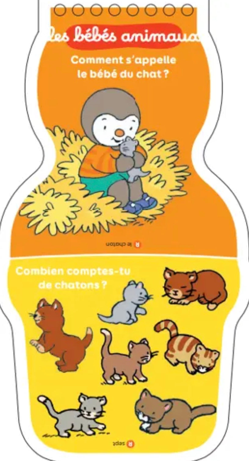 T'CHOUPI - QUIZ DE MES 4 ANS *