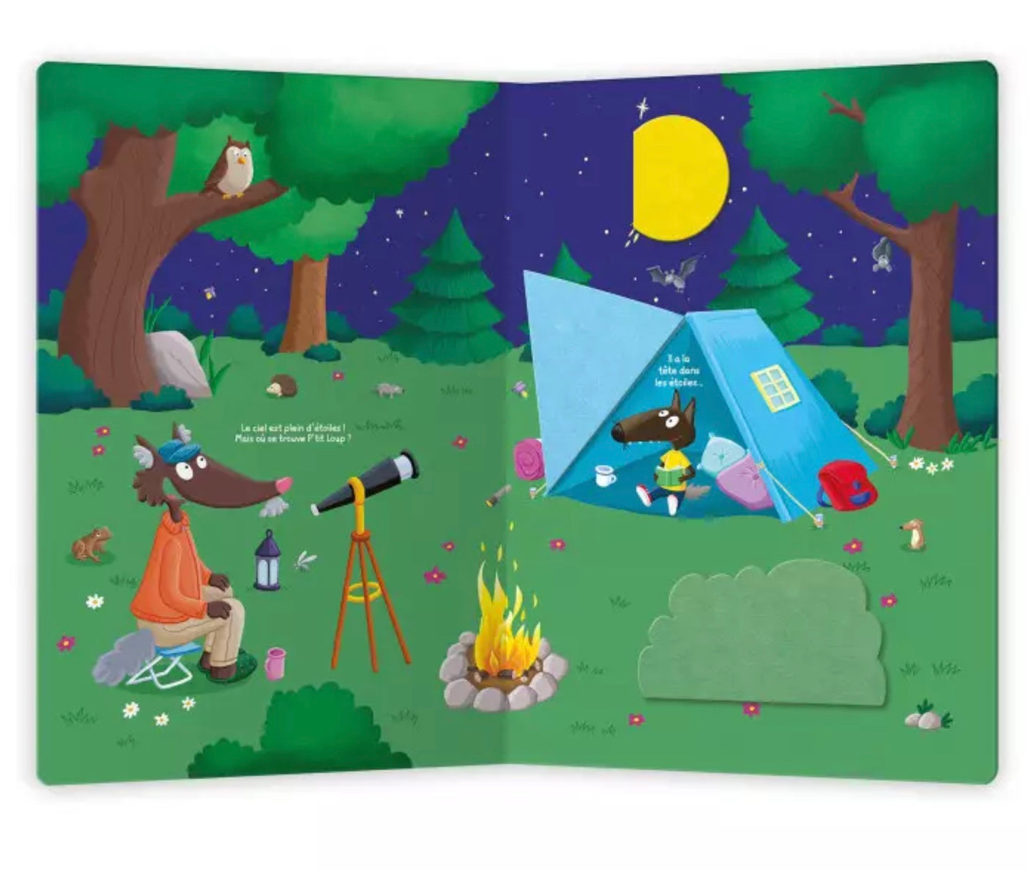 CACHE-CACHE P'TIT LOUP