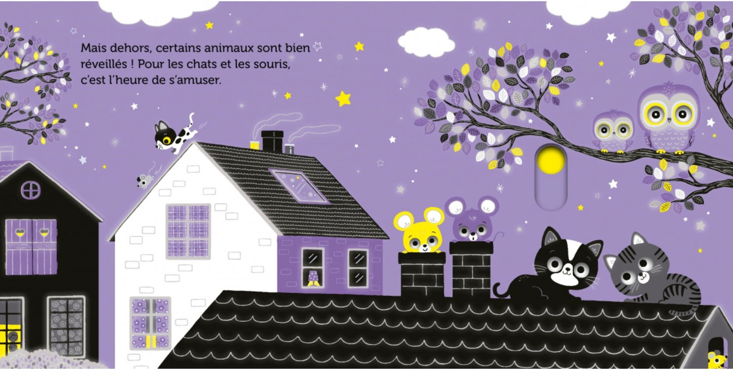 PROMENADE SOUS LES ÉTOILES