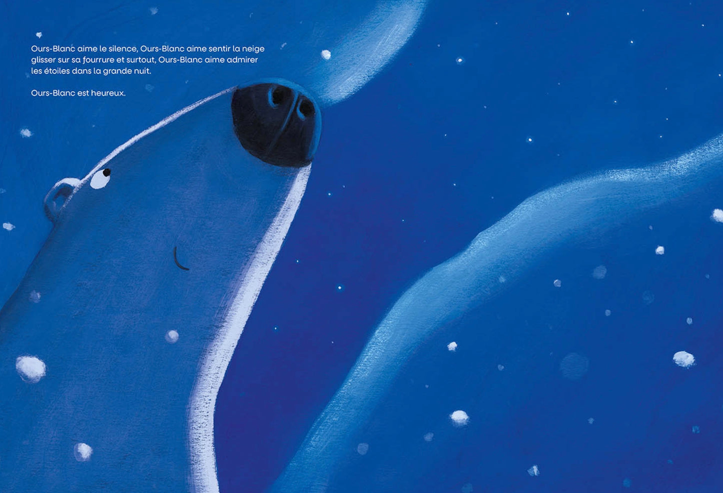 UN AMI TOMBÉ DU CIEL