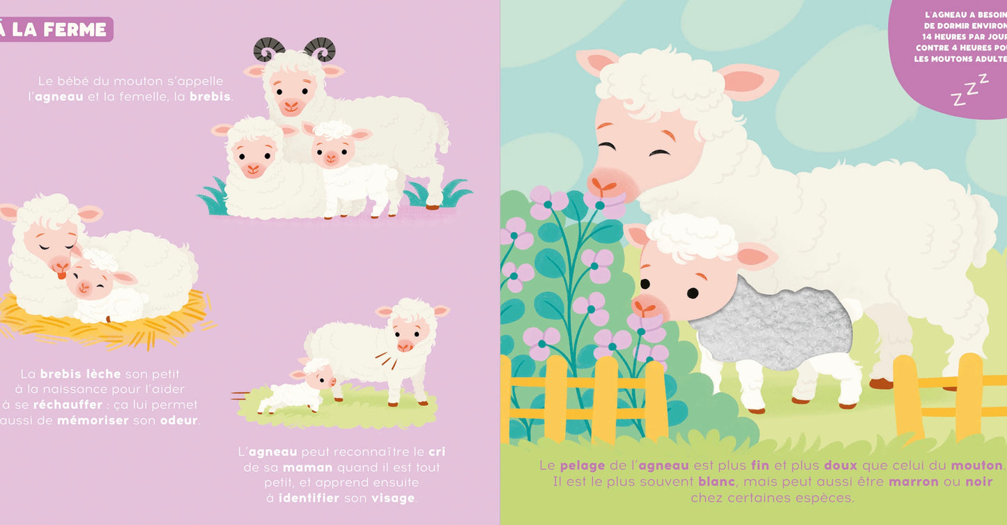 P'TIT TOUCHE À TOUT - LES BÉBÉS ANIMAUX
