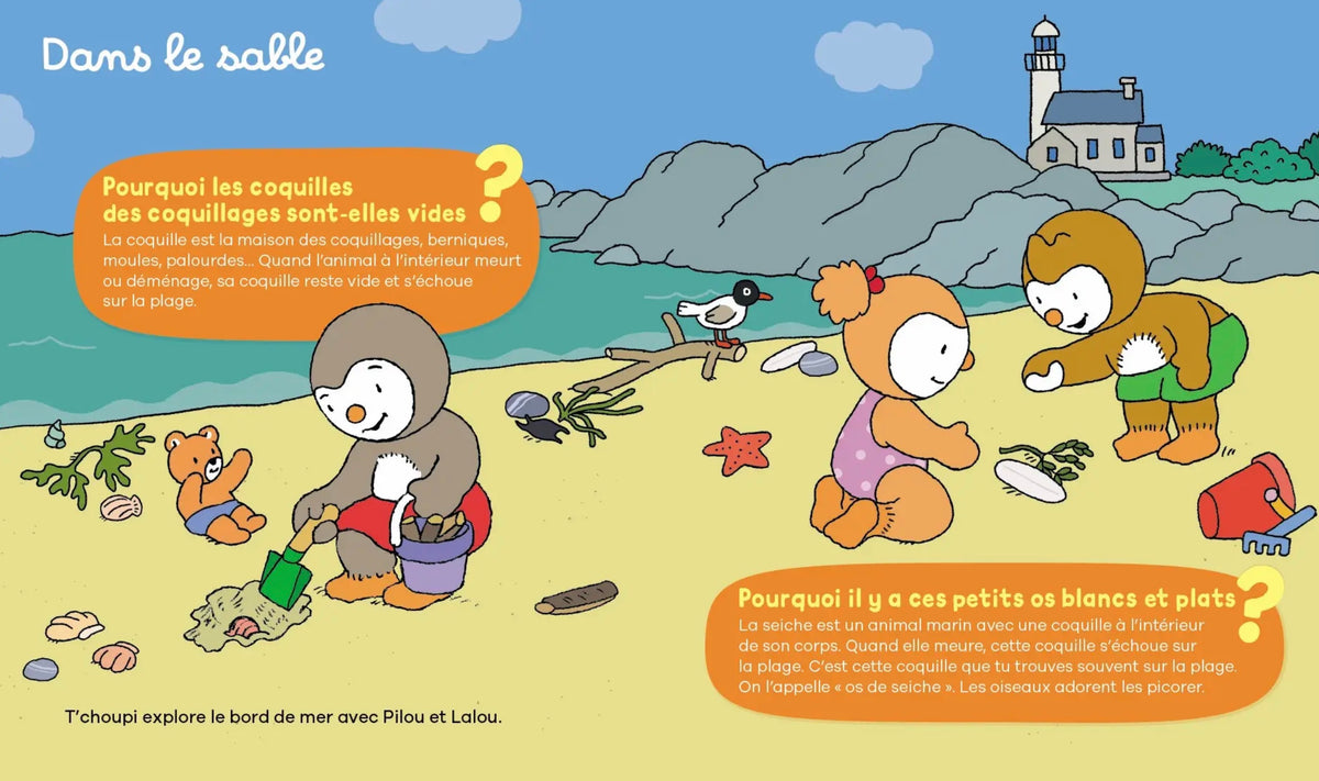 LES POURQUOI DE T'CHOUPI - À LA MER *