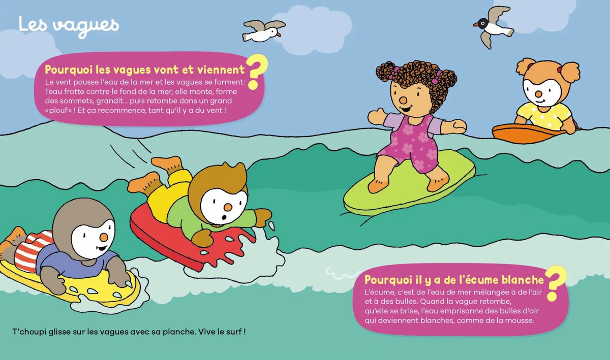 LES POURQUOI DE T'CHOUPI - À LA MER *