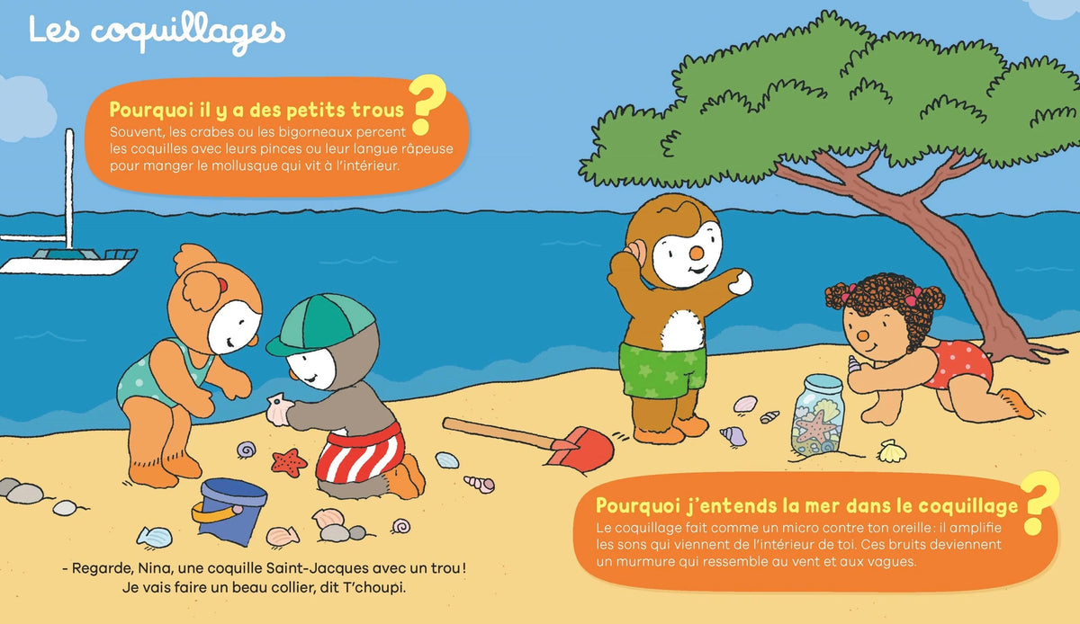 LES POURQUOI DE T'CHOUPI - À LA MER *