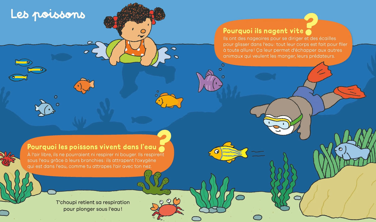 LES POURQUOI DE T'CHOUPI - À LA MER *