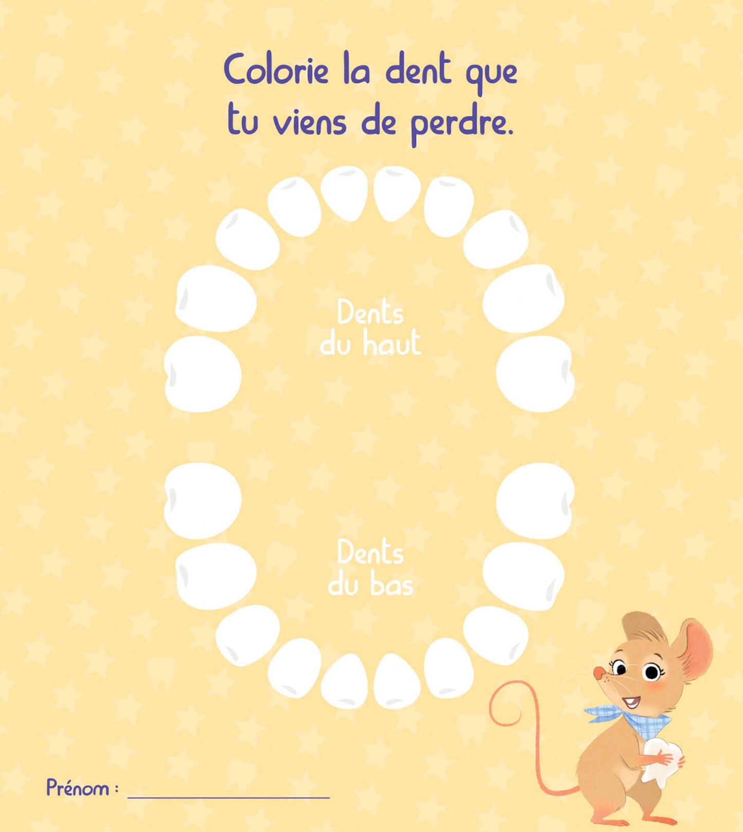 MON COFFRET GRISETTE : 2 HISTOIRES ET 1 BOÎTE À DENT