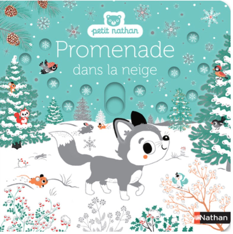 PROMENADE DANS LA NEIGE