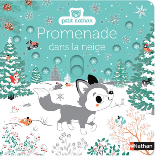 PROMENADE DANS LA NEIGE