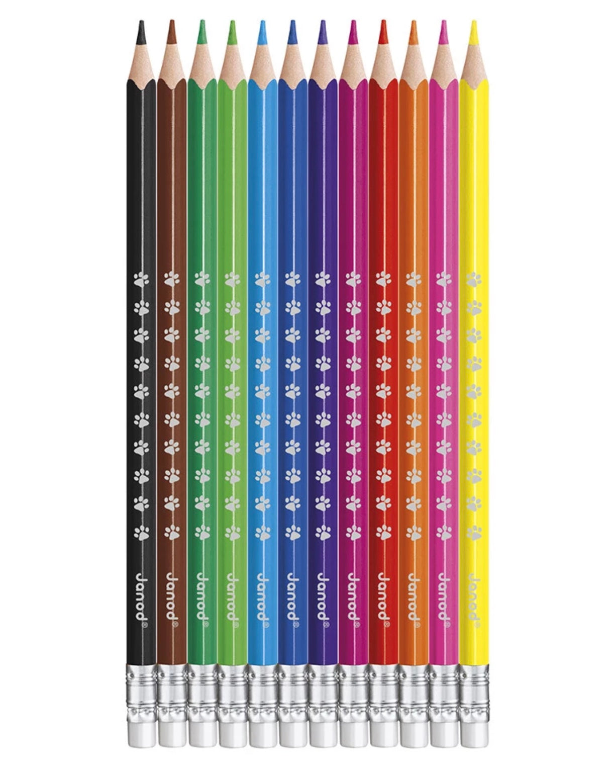 CRAYONS EFFAÇABLES X12