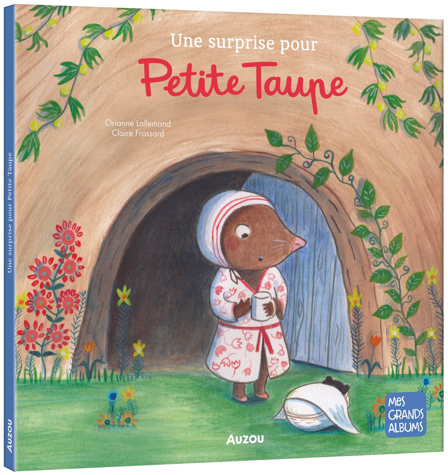 UNE SURPRISE POUR PETITE TAUPE