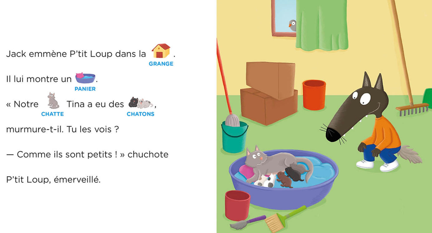 P'TIT LOUP AIME LES BÉBÉS ANIMAUX