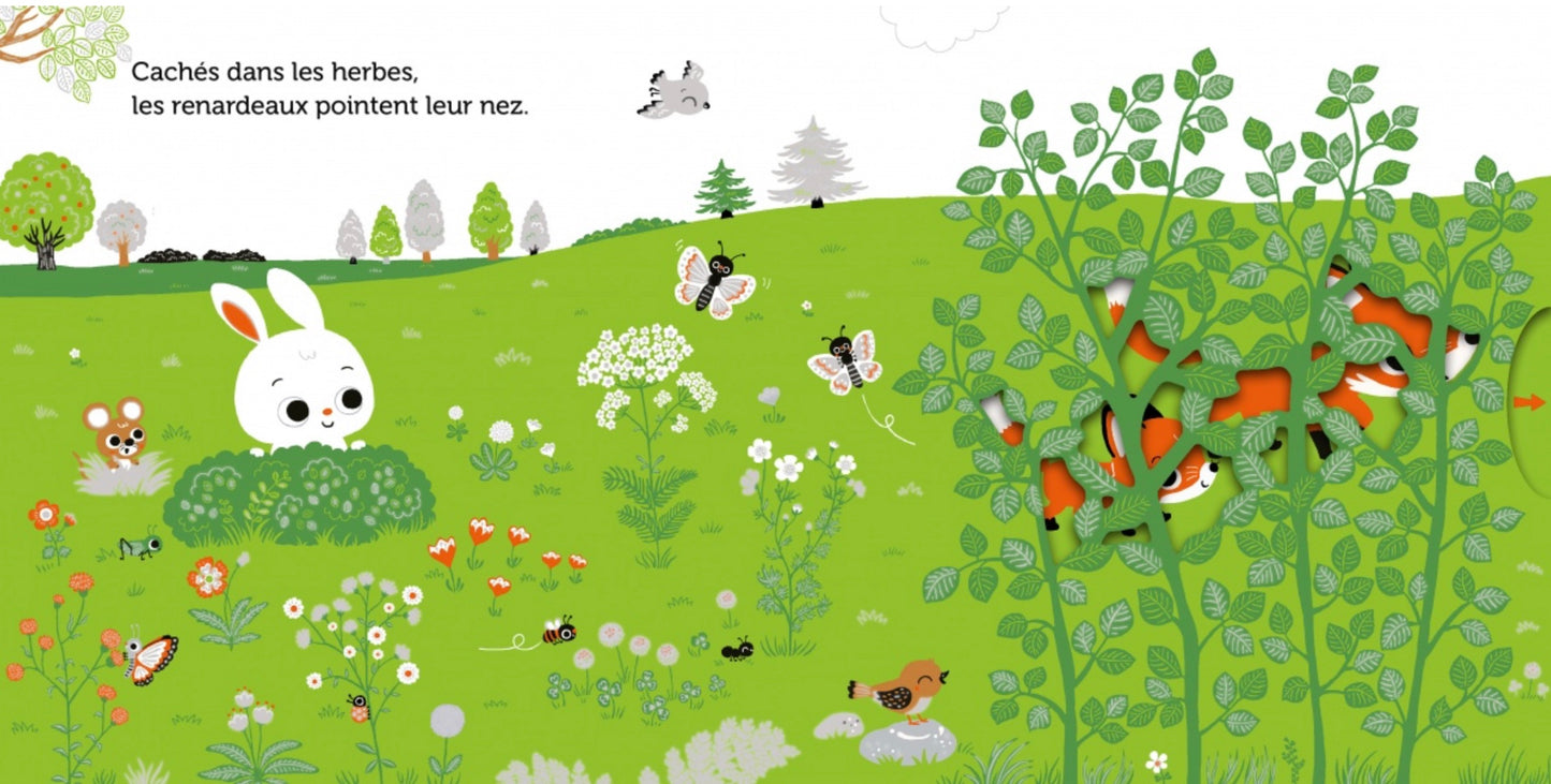 PROMENADE DANS LES PRÉS