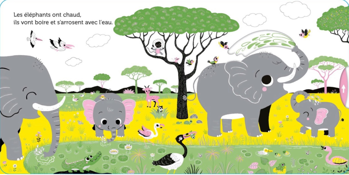 PROMENADE DANS LA SAVANE