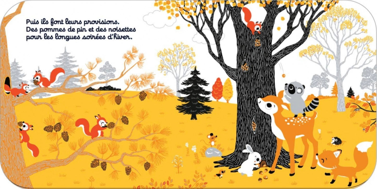 REGARDE DANS LA FORÊT