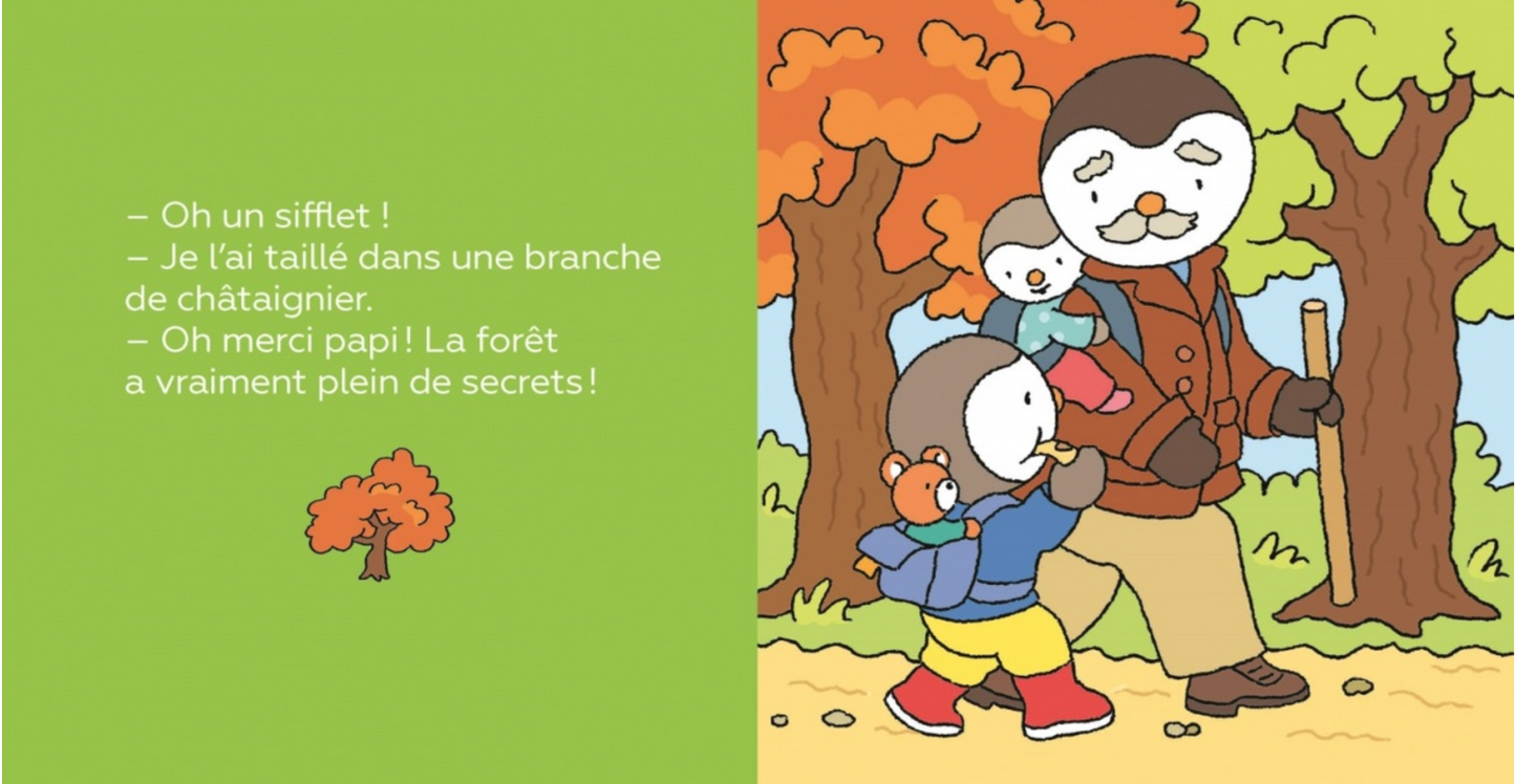 T'CHOUPI SE PROMÈNE EN FORÊT