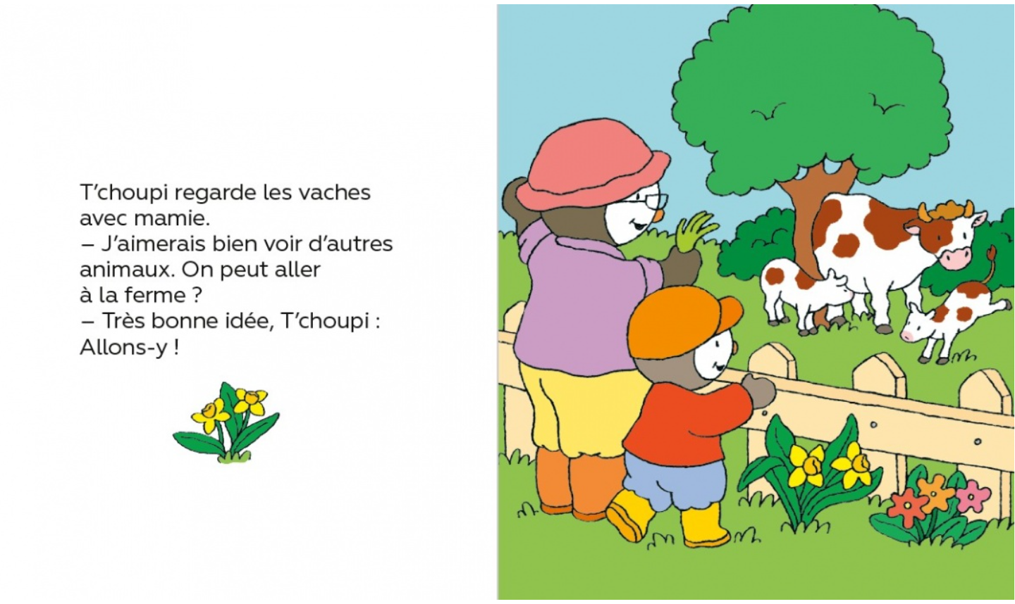 LES BELLES HISTOIRES DE T'CHOUPI